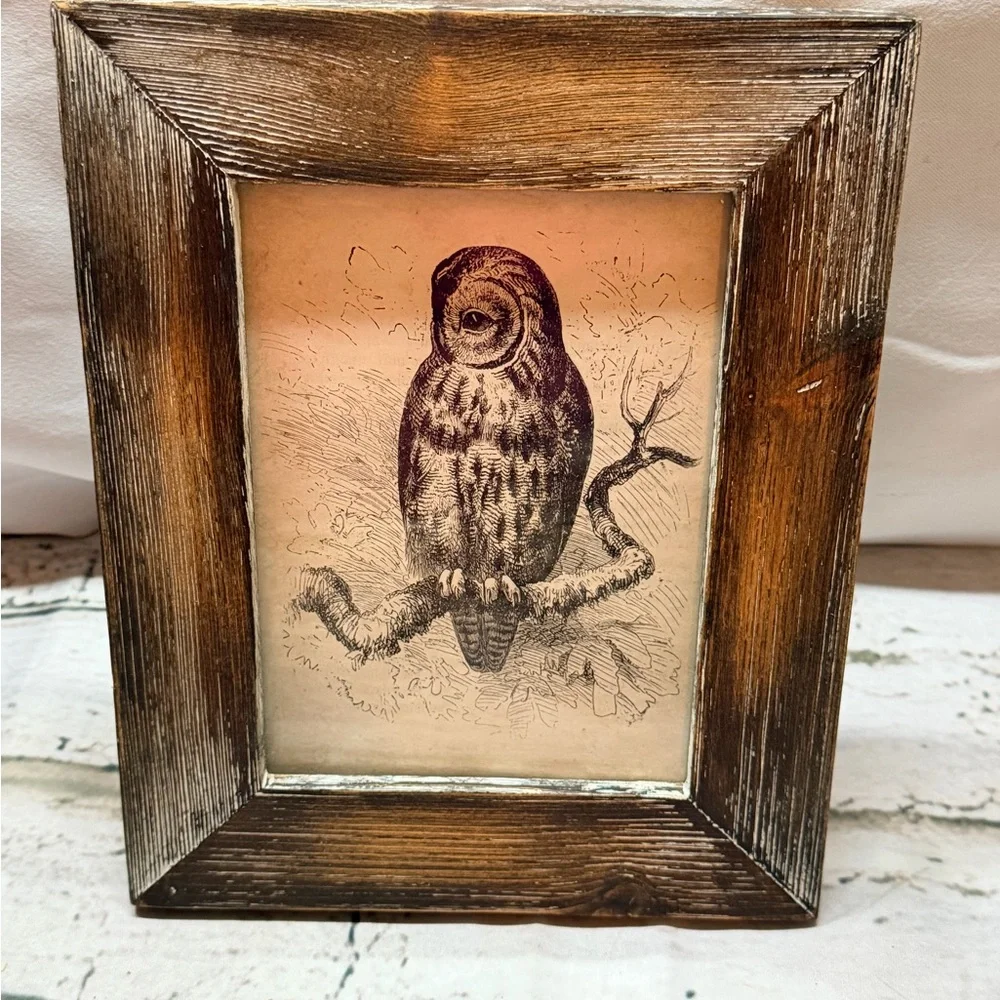 Rustic, distressed, reclaimed-style wooden Owl Framed Art 5x7”
